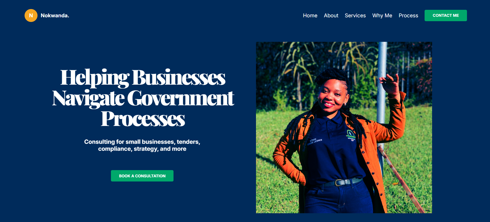 A preview of the Nosi Holdings website